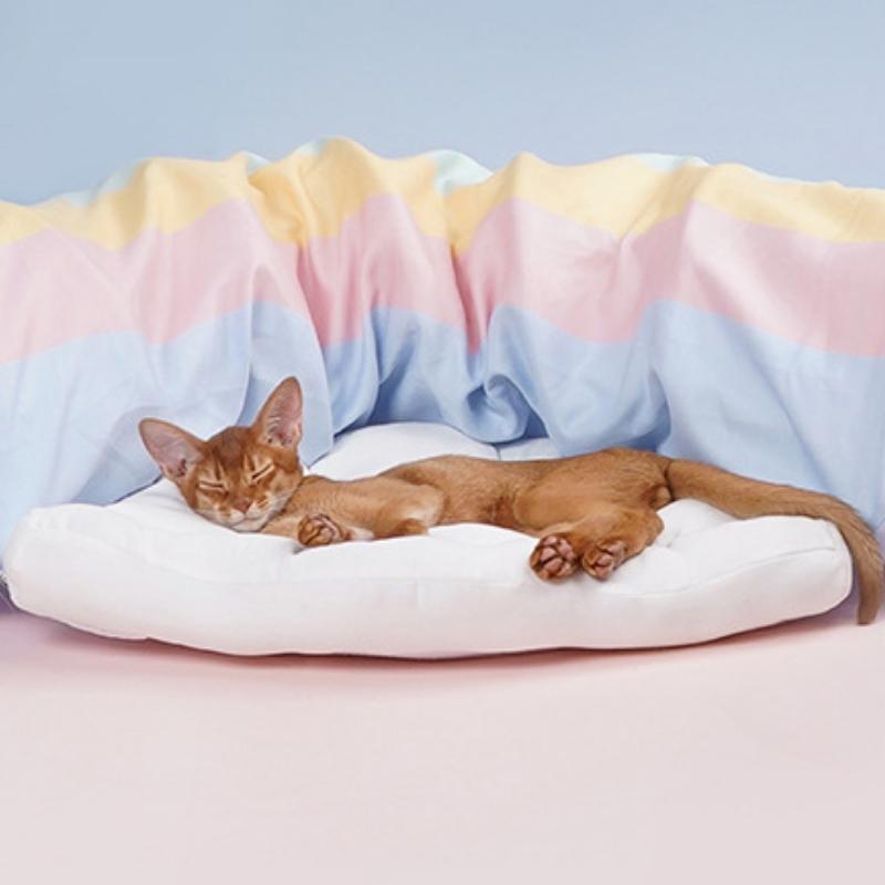 Rainbow Stars Cat Tunnels with Removable Cat Bed - Western Nest, LLC