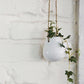 Mini Hanging Planter - Western Nest, LLC