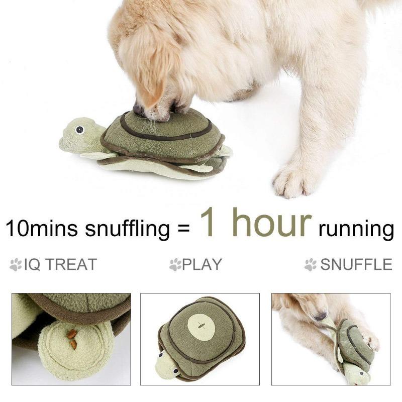 Turtle Treat Puzzle Snuffle Mats for Dogs - Western Nest, LLC