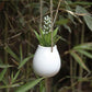 Mini Hanging Planter - Western Nest, LLC