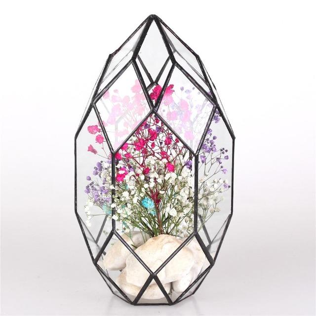 Ruth - Modern Glass Terrarium Container - Western Nest, LLC