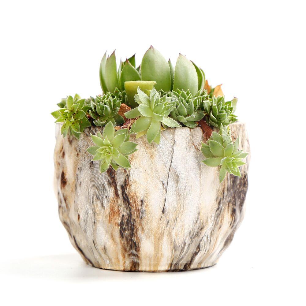 Deidra - Modern Bonsai Marbling Flower Pot (4 pcs) - Western Nest, LLC