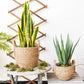 Regina - Nordic Art Decoration Flower Basket - Western Nest, LLC