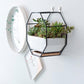 Elle - Nordic Ceramic Succulent Plant Pot - Western Nest, LLC