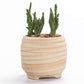 Victoria - Multipurpose Ceramic Planter - Western Nest, LLC