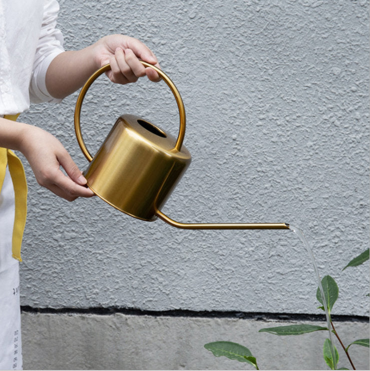 Lucia Watering Can for Plant