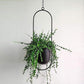 Vivienne Hanging Metal Planter Pot Holders - Western Nest, LLC