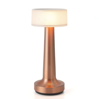 LED Table Lamp with Rechargeable Batteries