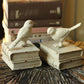 Shelly Swallow Bookends