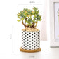 Aiva - Nordic Geometric Succulent Planter - Western Nest, LLC