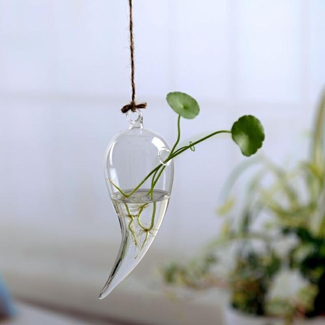 Jing - Hydroponic Hanging Flower Pot - Western Nest, LLC