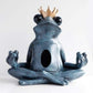 Yoga Frog Tissue Holder